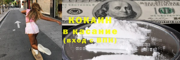 прущие грибы Алексин