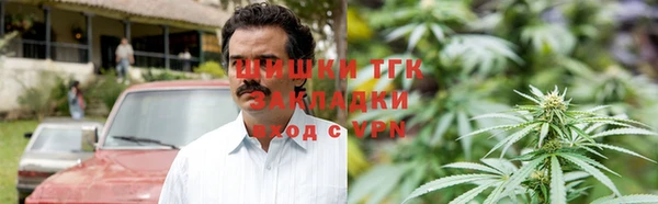 прущие грибы Алексин