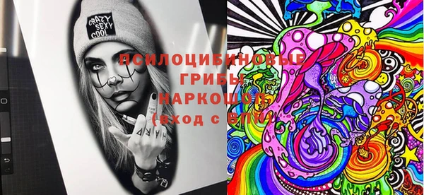 прущие грибы Алексин